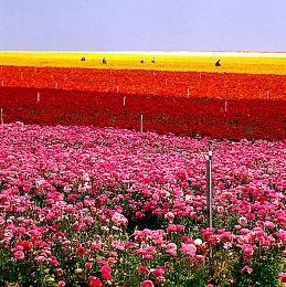 万圣狂欢：Steam平台Quantic Dream工作室旗下三款游戏最高4折优惠