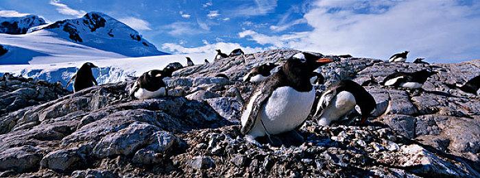大湾区低空短途运输航线今日开通：999元20分钟从深圳飞到珠海